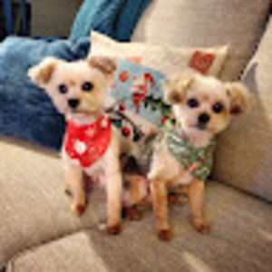 Meet your Posher, Jaynie